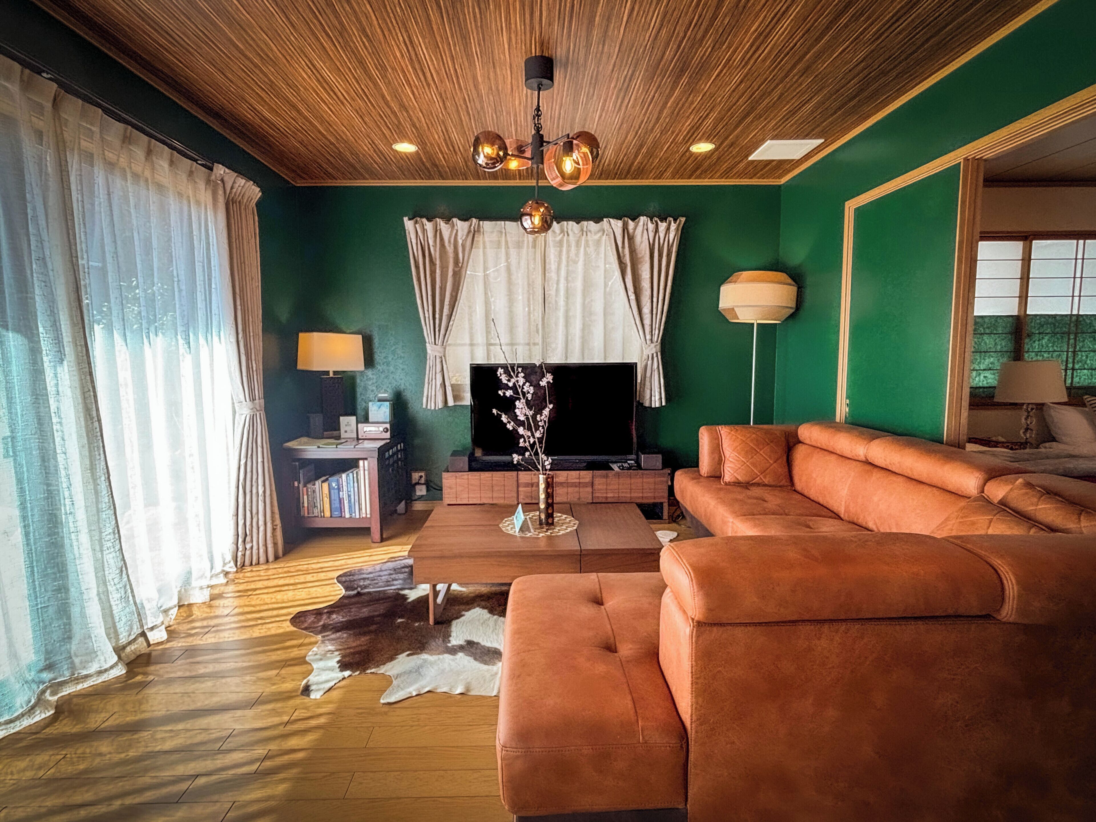 Een televisie, boeken en een muziekbibliotheek