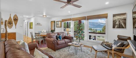 智能電視、壁爐、書籍