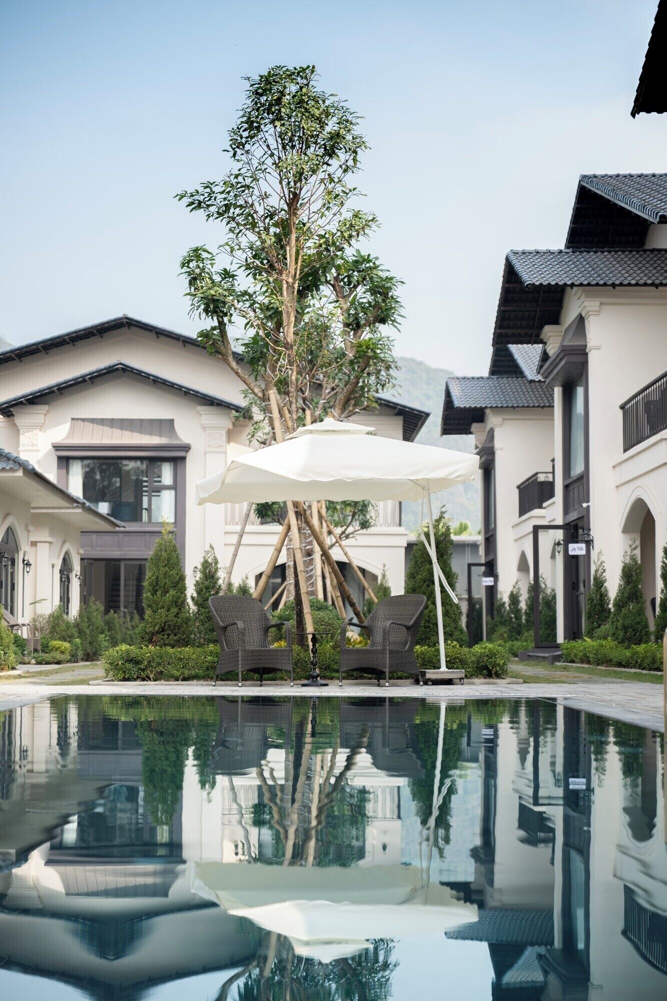 A pool with a reflection of buildings and a tree.
