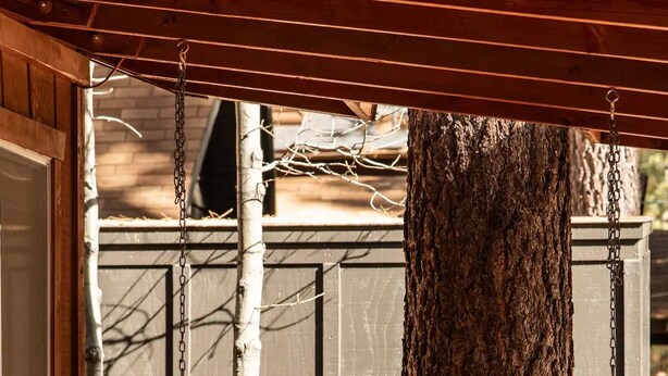 A wooden swing bench suspended from a wooden structure, with a tree trunk in the background. - Cozy 2-BR/2-BA cabin in Big Bear perfect for a relaxing, close to the slopes (Big Bear Lake)