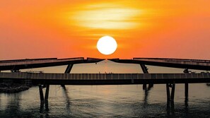 Vista desde la propiedad