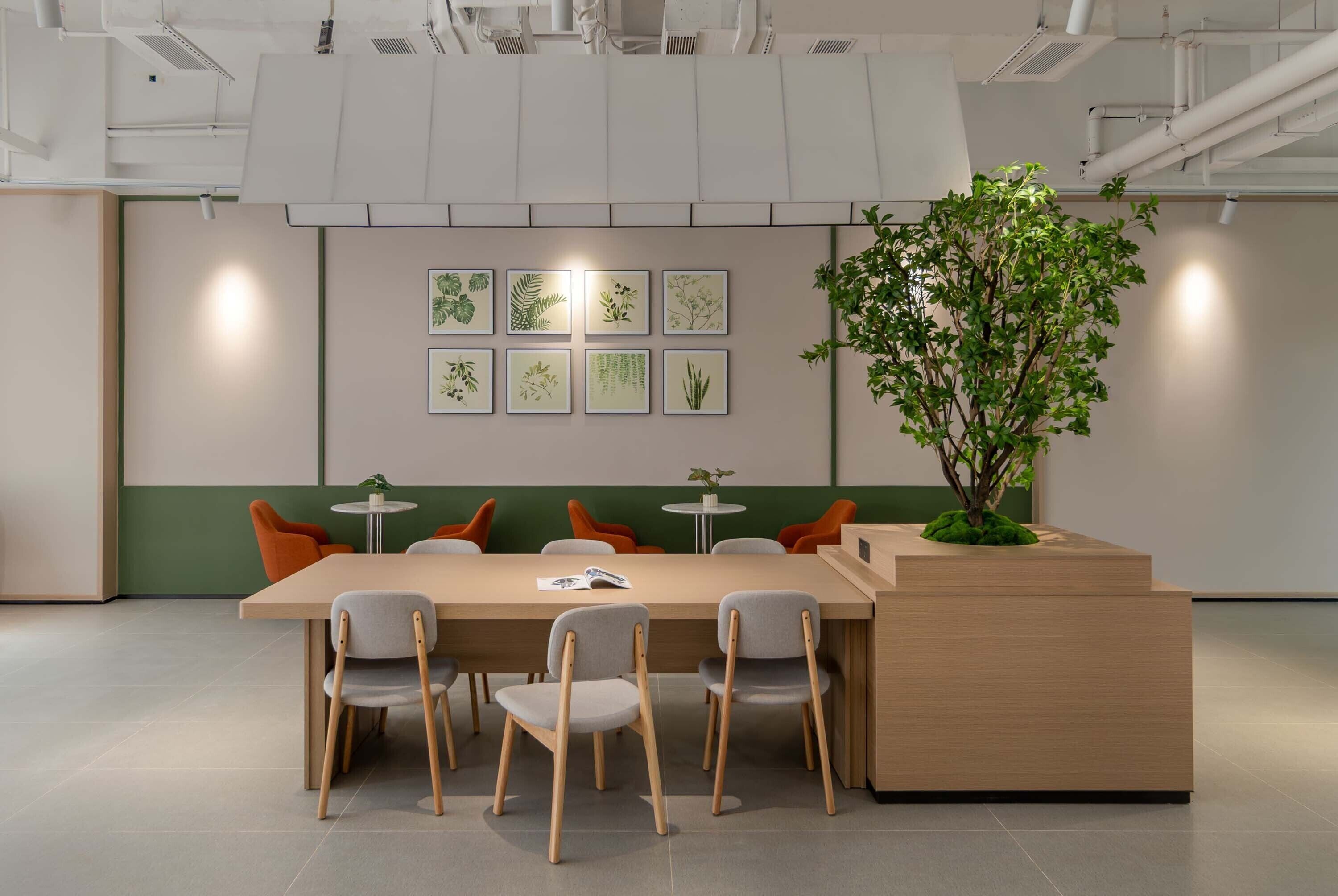 Una sala de reuniones moderna con una mesa larga, seis sillas y una planta pequeña.