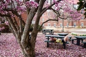 Outdoor dining - "Bluegrass Grove" -  New Build at South Grove! (Oxford)