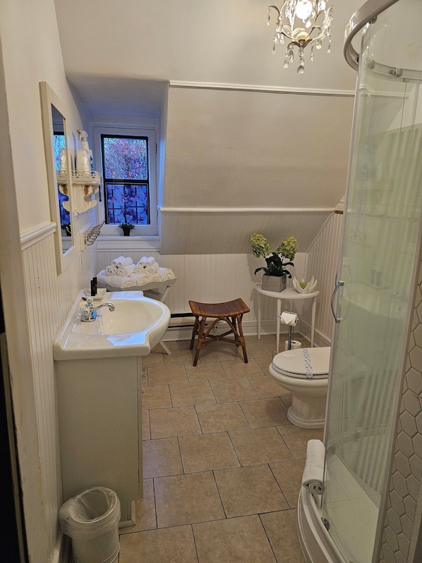 Shower, hair dryer, towels, soap