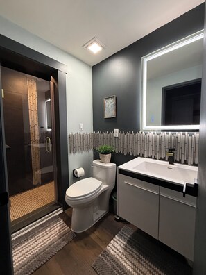 Shower, hair dryer, bidet, towels
