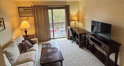 Cozy 1-bedroom apartment in Downtown Neenah