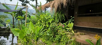 OZ Cabin by Farmstay Managel