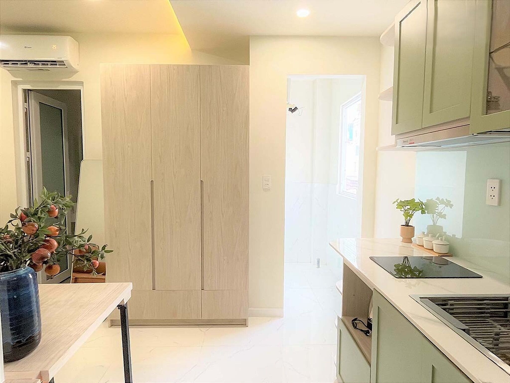 A modern kitchen with a built-in stove, a wooden wardrobe, and a potted plant on the counter.