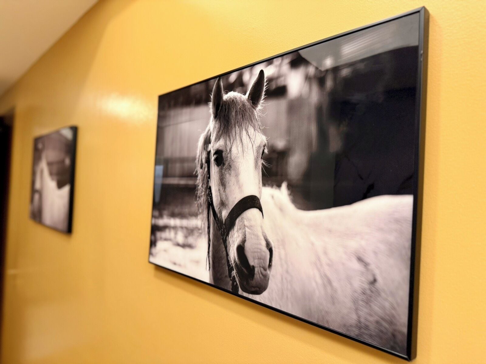 A hallway with a series of framed photographs on the wall.
