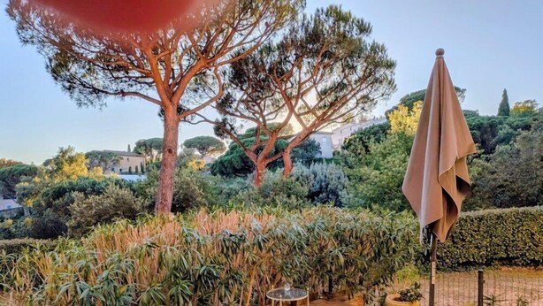 Eine Holzterrasse mit Tisch und Stühlen, umgeben von Pflanzen und einem großen Baum.