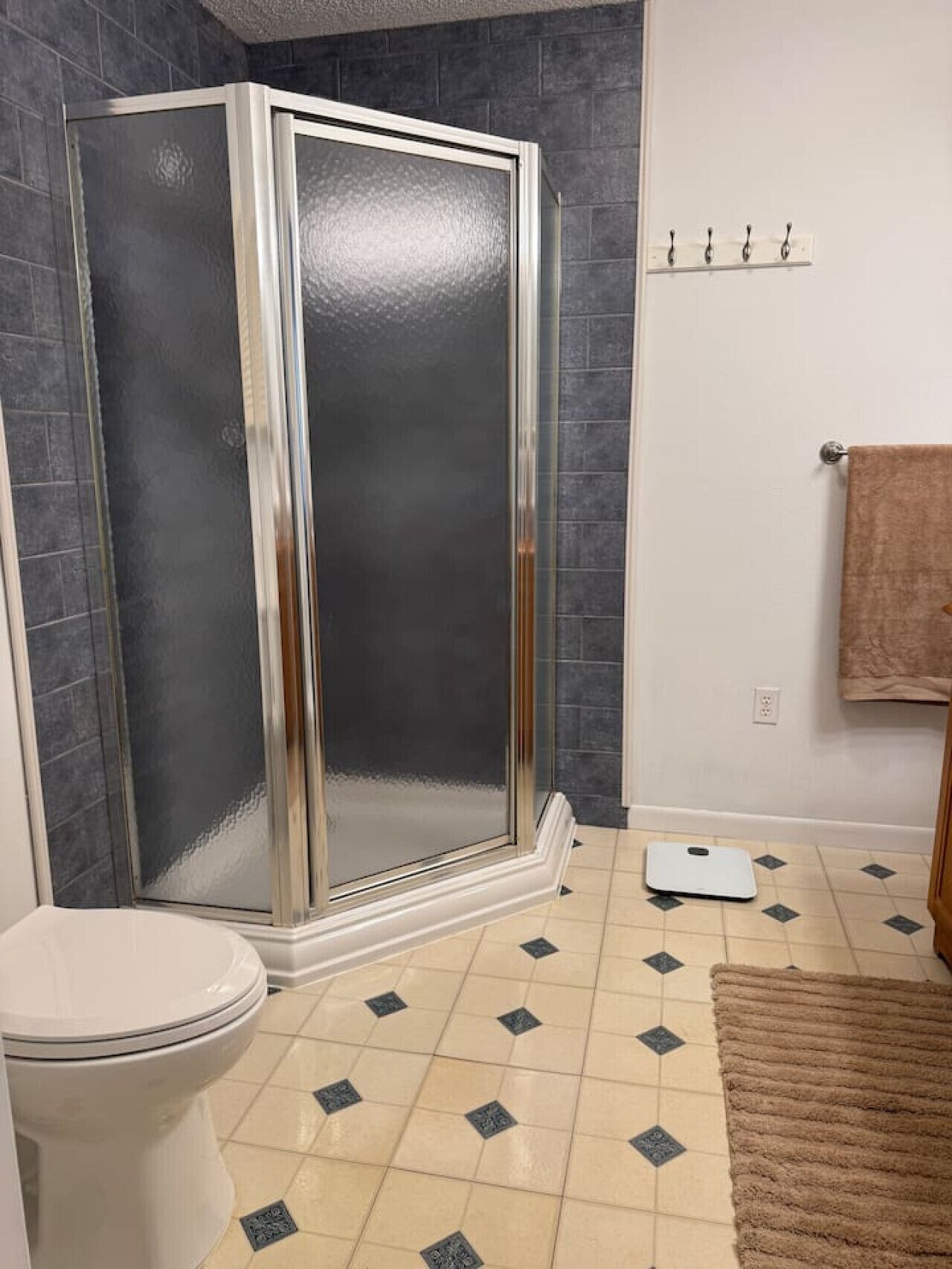 Een badkamer met een douchecabine, toilet, weegschaal en handdoekhouder.