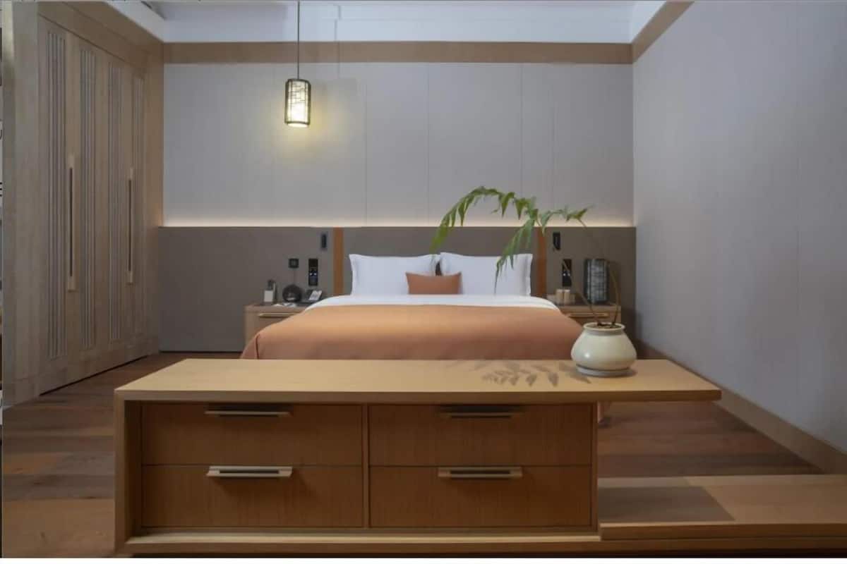 Un dormitorio moderno con una cama de madera grande, mesitas de noche, una lámpara de noche y una planta en maceta.