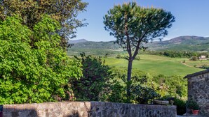 Un muro de piedra, un pino y vistas de un valle verde con colinas.