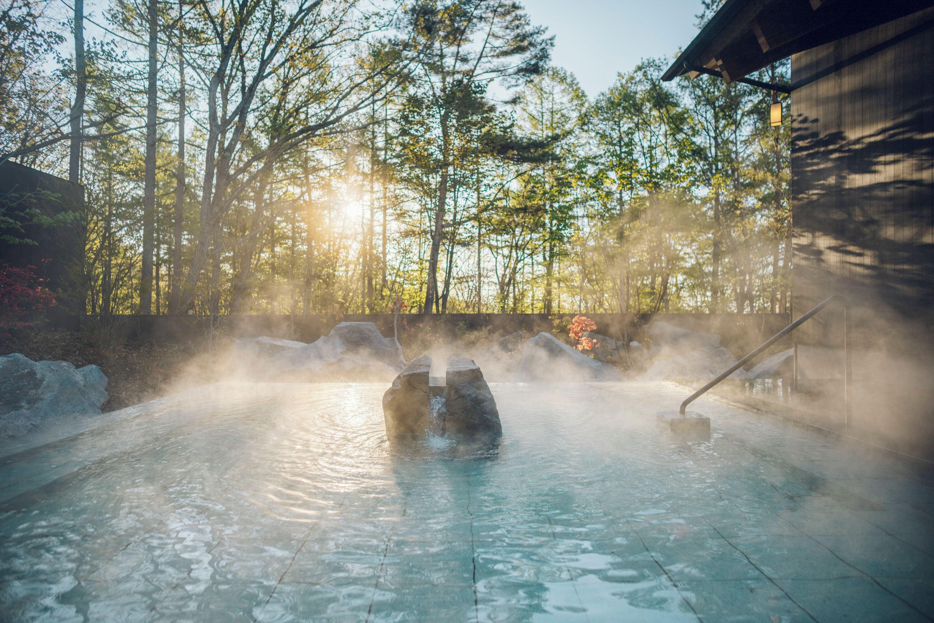 A hot spring with steam rising, surrounded by trees and a wooden structure.