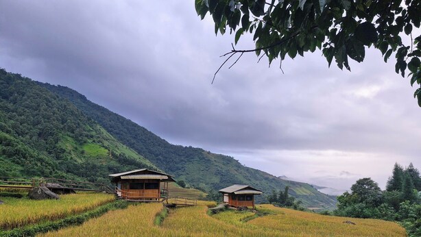 A rural landscape with two wooden structures amidst rice fields, surrounded by hills. - To Ech Homestay (Sin Suoi Ho)