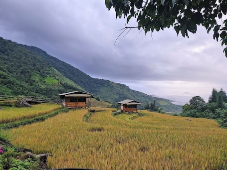 Wifi gratis . To Ech Homestay