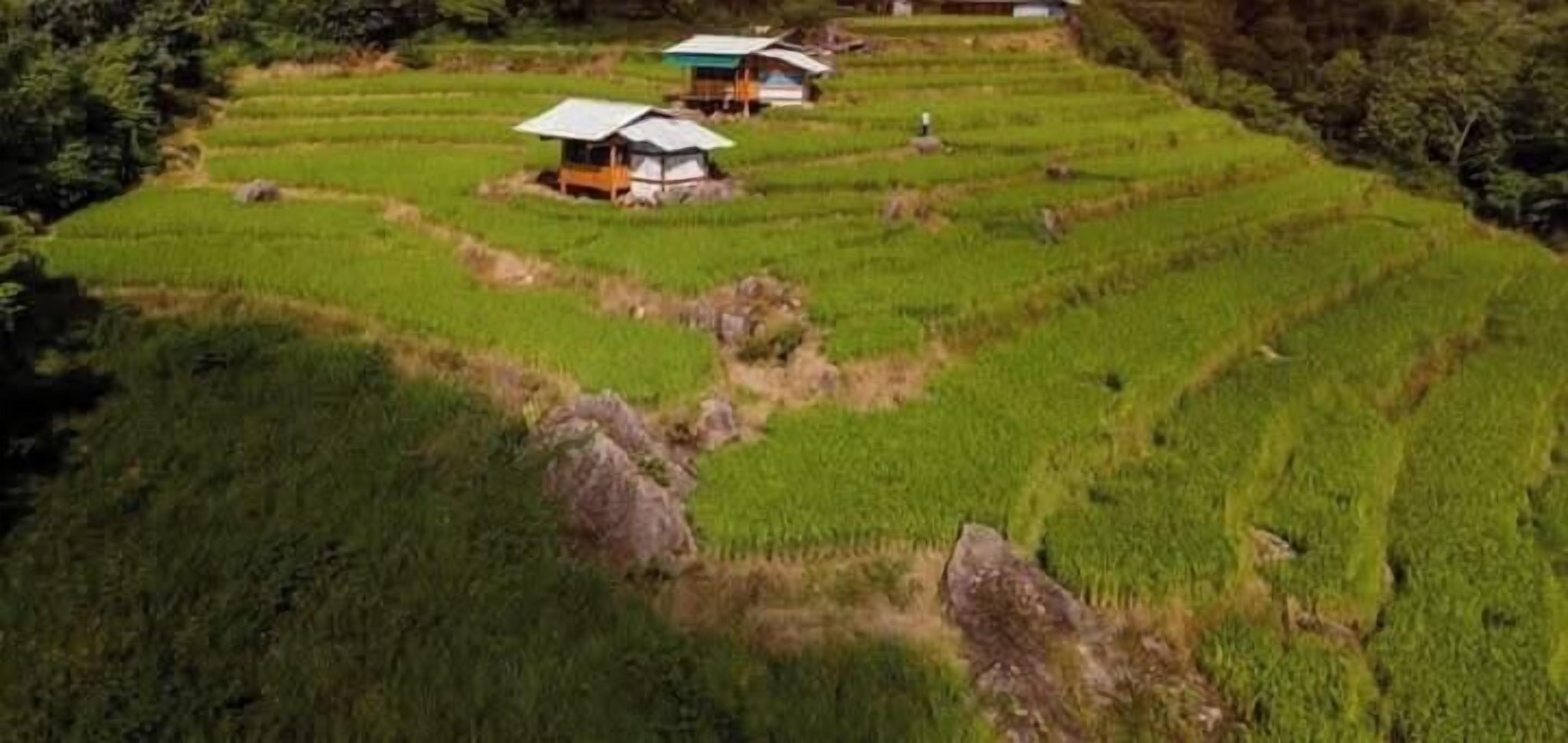 A terraced rice field with traditional houses.