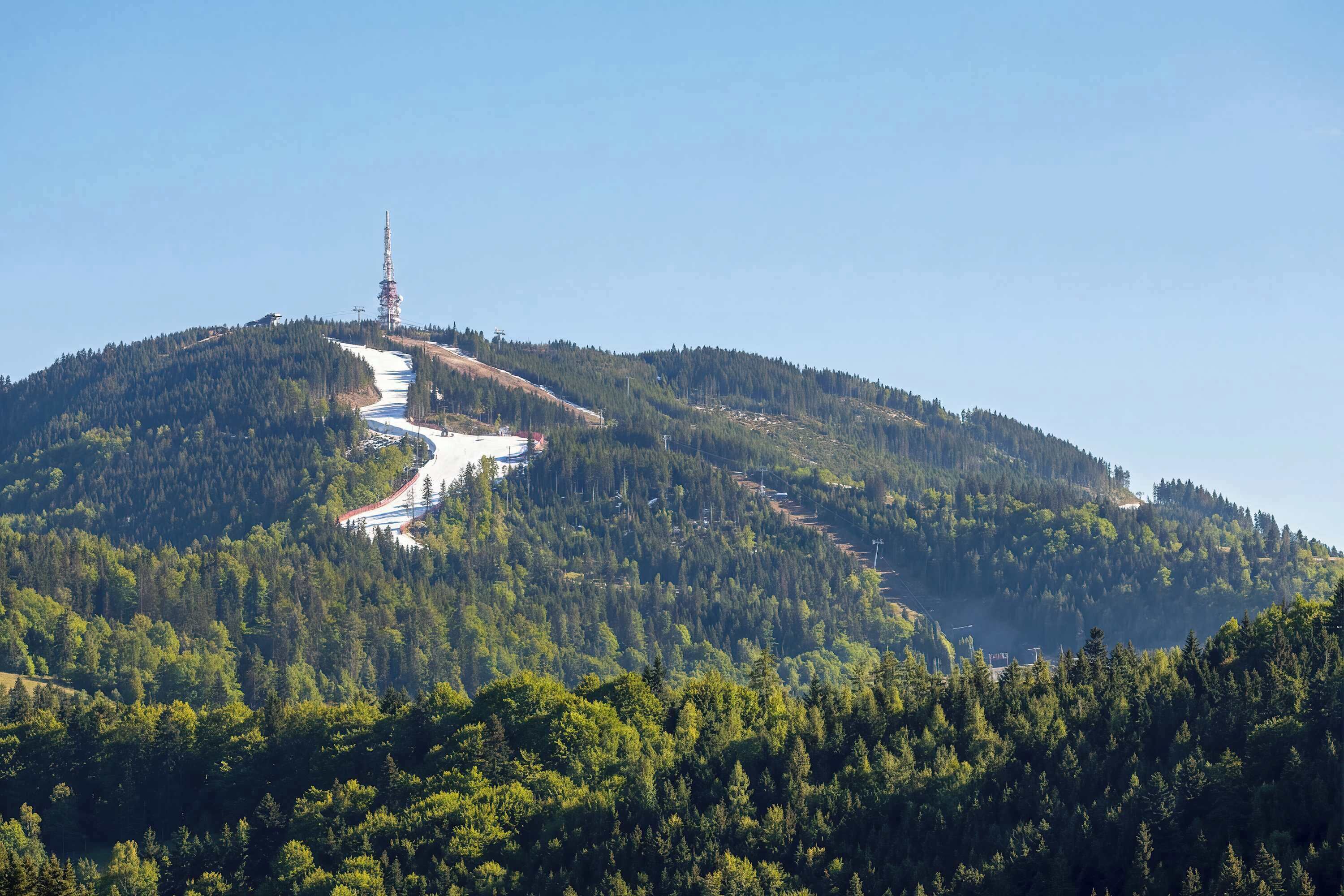 A mountain with a ski lift and dense forest.