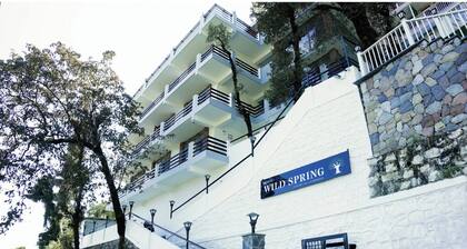 HOTEL WILD SPRING - a boutique hotel