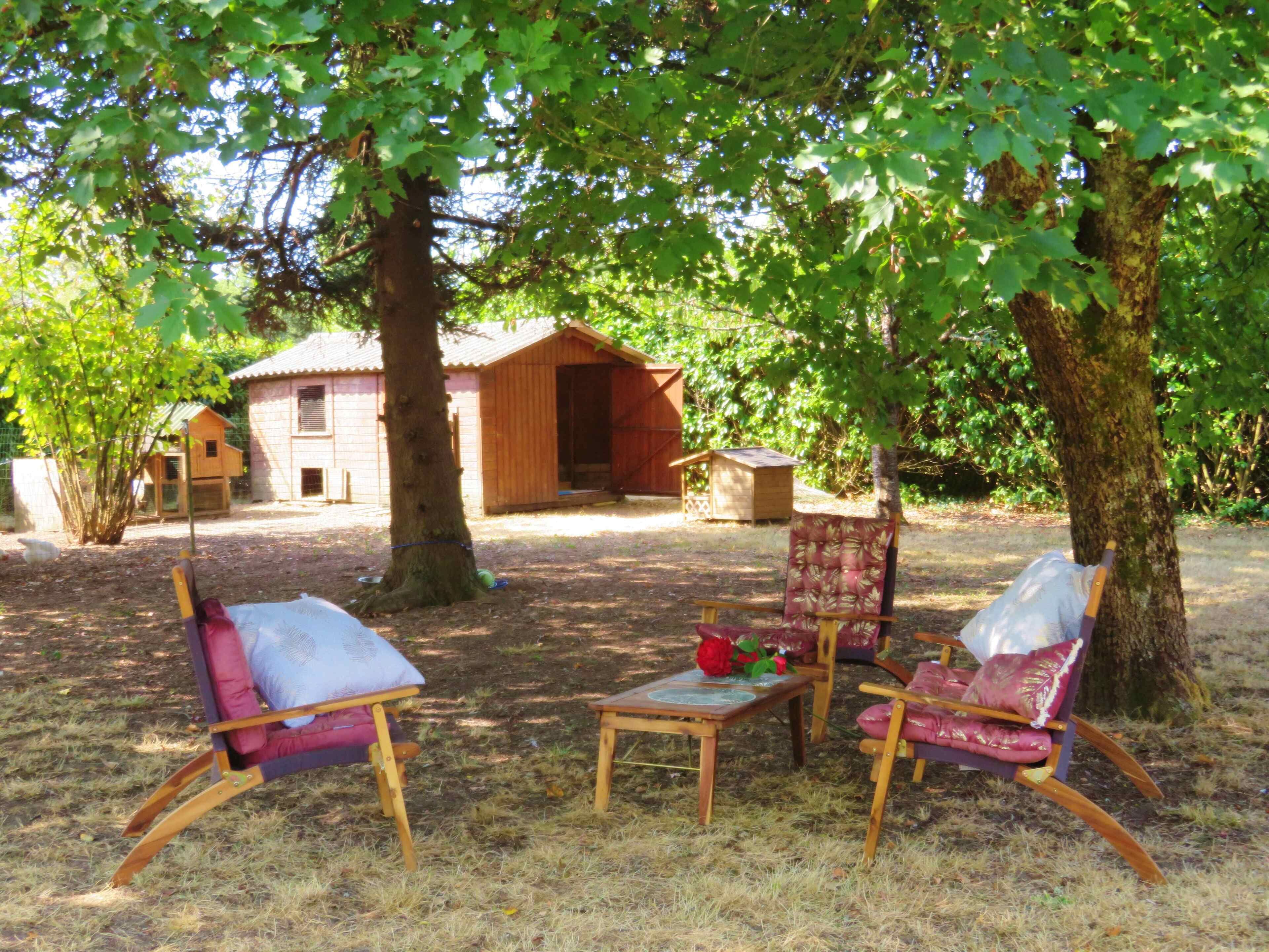 Ein rustikaler Sitzbereich im Freien mit Holzkohlen und einem Tisch, umgeben von Bäumen und einem kleinen Holzhaus.