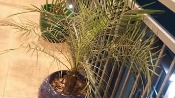 Deluxe-værelse - bjergudsigt | Balkon