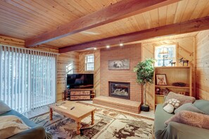 TV, fireplace, books