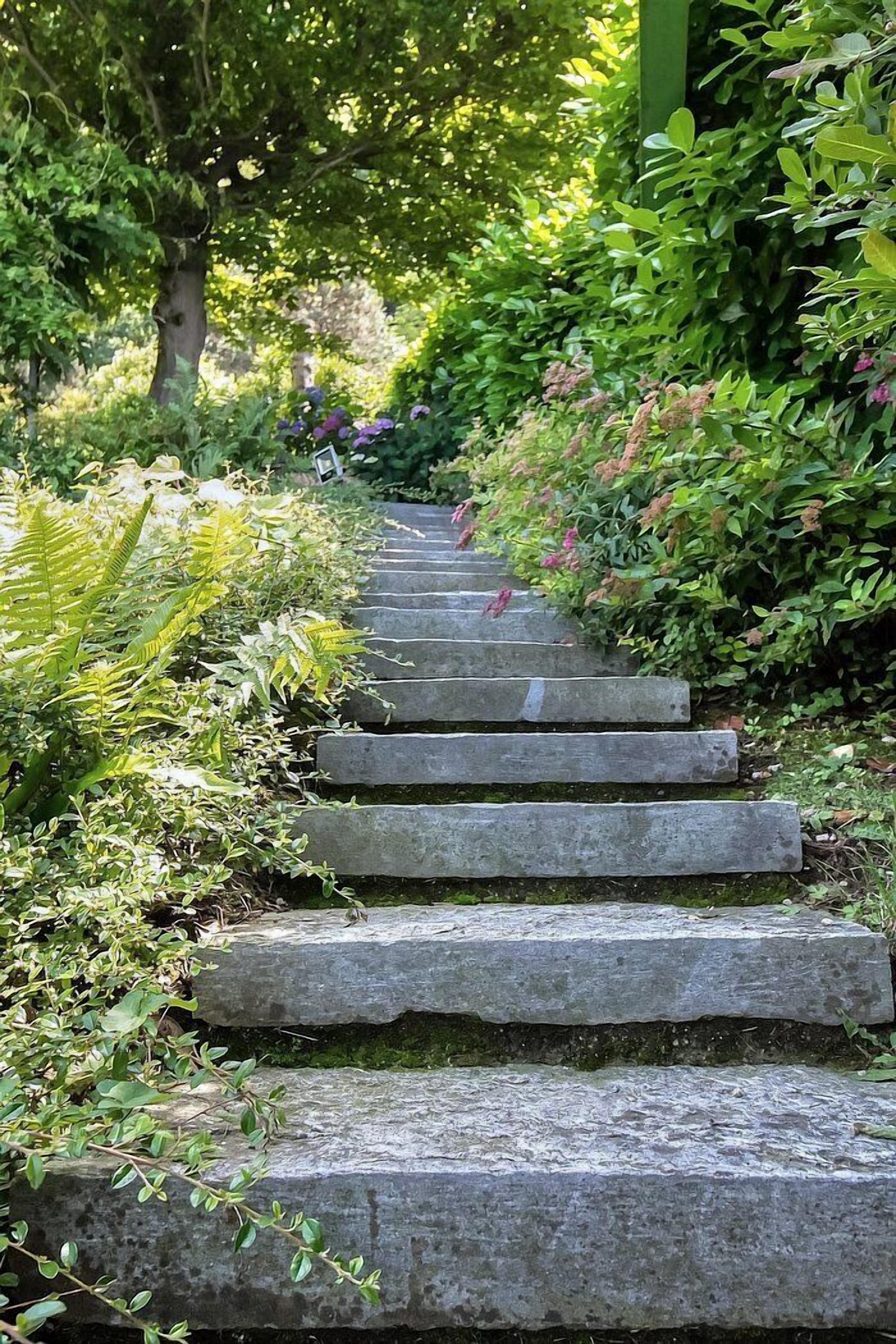 A stone staircase surrounded by lush greenery and trees.
