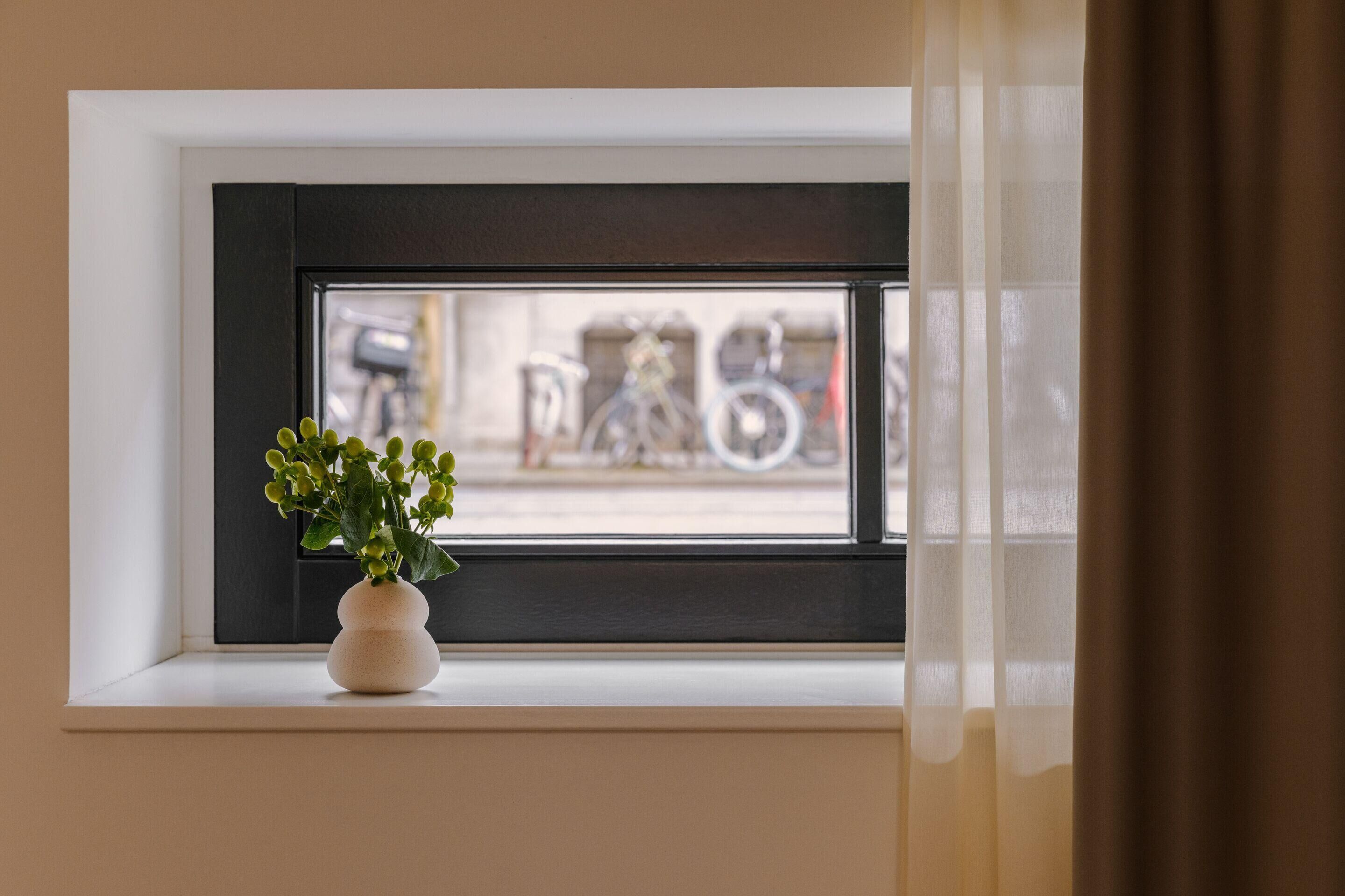 Une fenêtre avec un cadre blanc et une petite plante en pot posée sur le rebord.