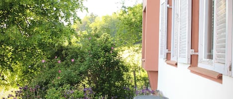 テラス / パティオ