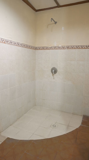 Suite | Baño | Regadera y toallas