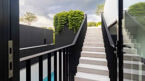 Eine Treppe mit schwarzer Geländer und einer mit Grünspan bewachsenen Wand.