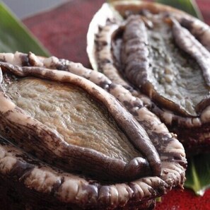 Food and drink - Yoka no Yado Hanashobu (Miyazu)