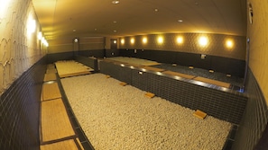 Interior - Castle Inn Toyokawa (Toyokawa)