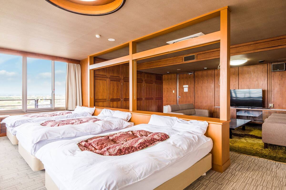 Una habitación de hotel con dos camas, televisión y vistas a la ciudad.