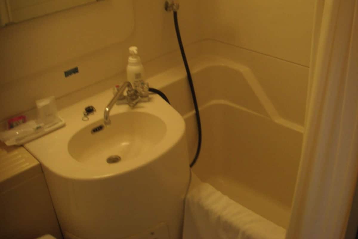 A bathroom with a sink, faucet, and a shower hose.