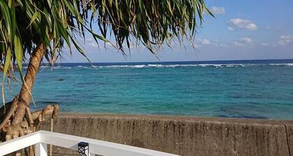 Blue Coral Reef <amamioshima>