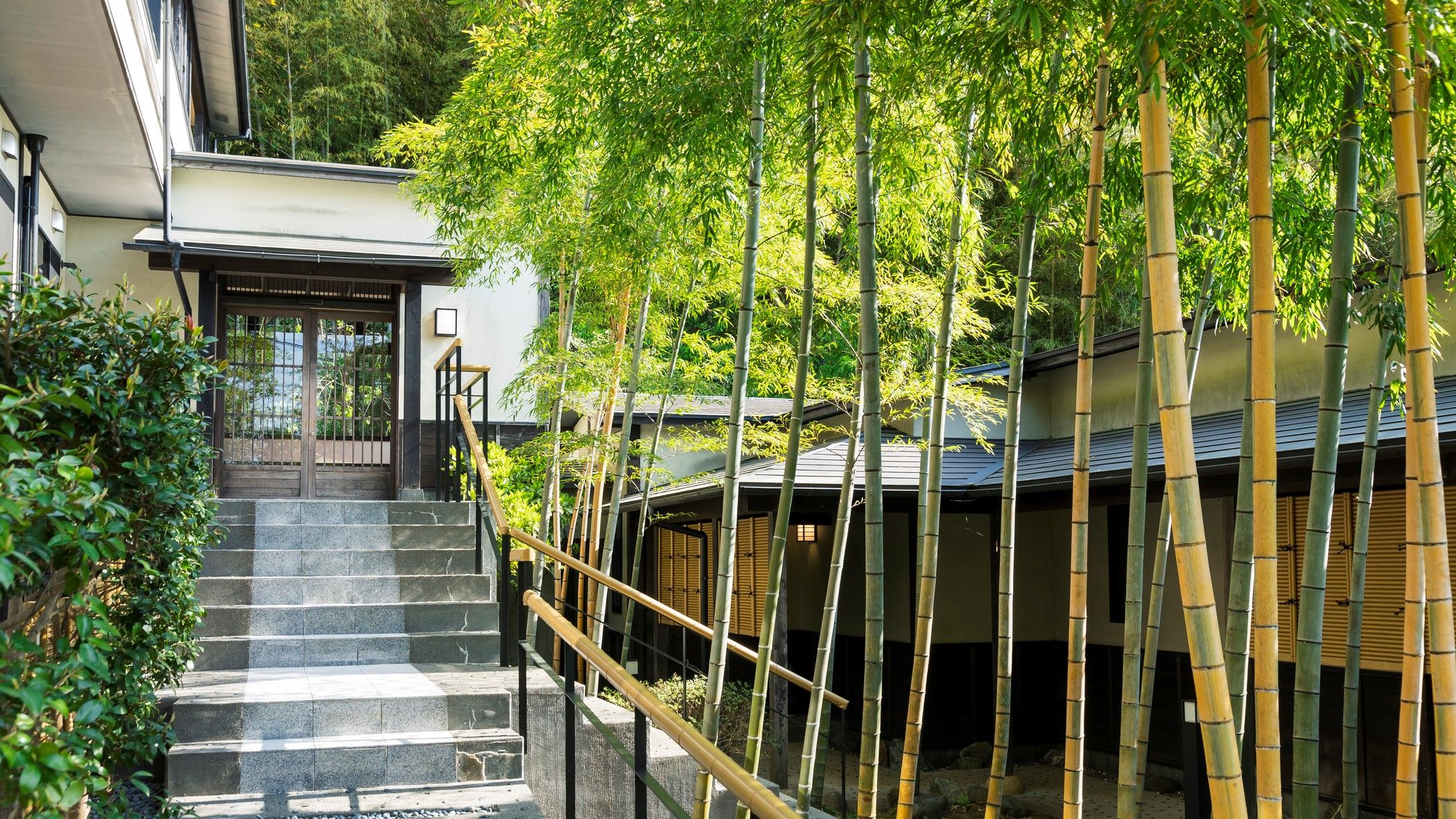 A traditional Japanese building with a staircase leading to a wooden door, surrounded by bamboo trees.
