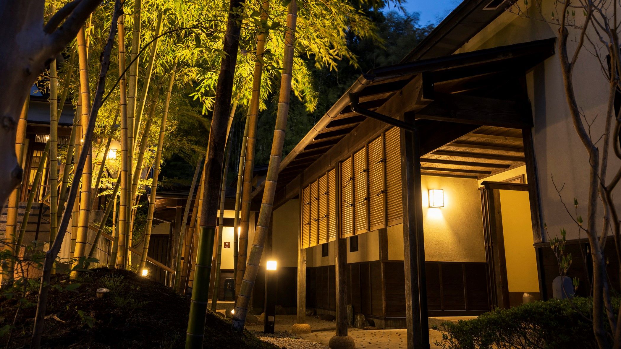 A traditional building with a wooden structure, surrounded by bamboo trees and illuminated by warm lighting.