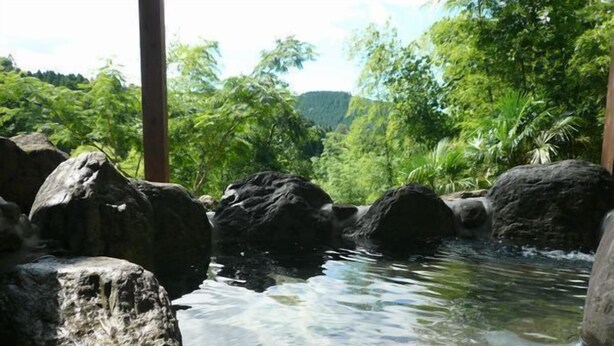 A natural water feature surrounded by large rocks and lush greenery. - Hiiragi Cottage (Hita)