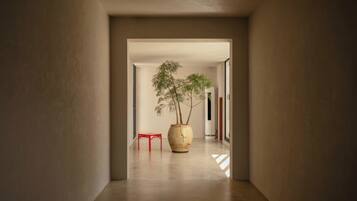 Detalle interior