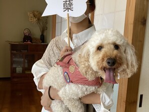 Interior - Guesthouse Hikobae (Kitakami)