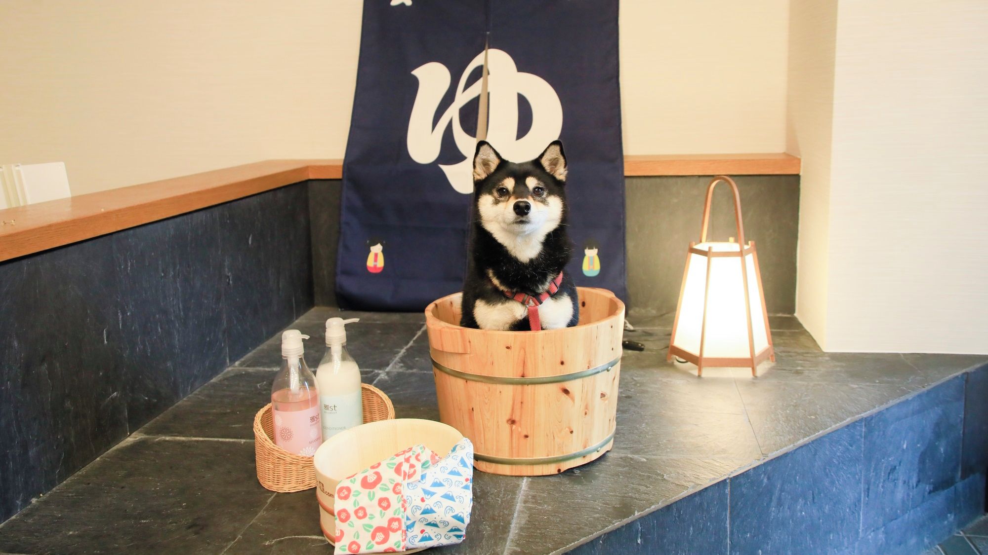A dog in a wooden bucket, a lantern, and a banner with a logo.