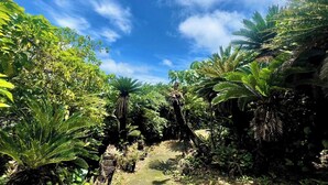 A lush garden with a variety of tropical plants and a clear blue sky. - Sea Turtle View Cottage (Wadomari)