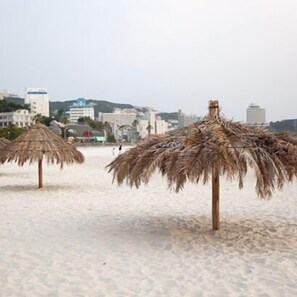 Beach - Pet Friendly Kokumin-shukusha Baylily Shirayuriso (Shirahama)