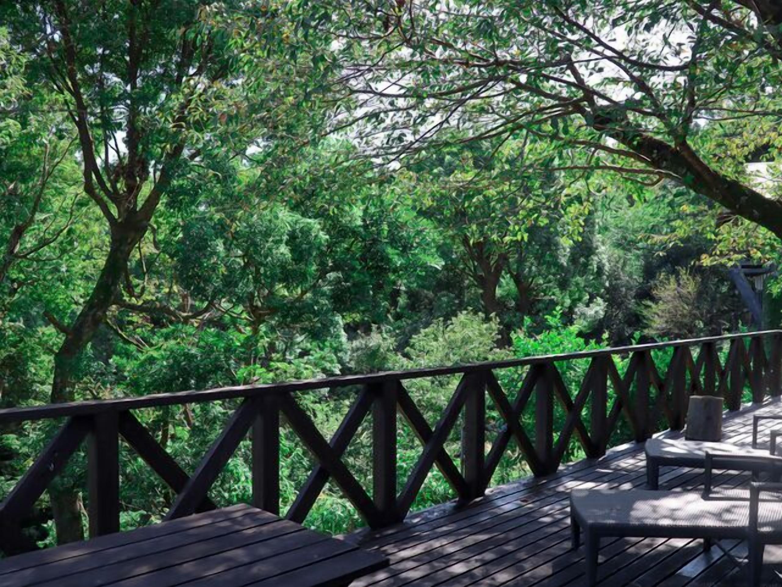 Una terraza de madera con barandilla, rodeada de abundante follaje verde.