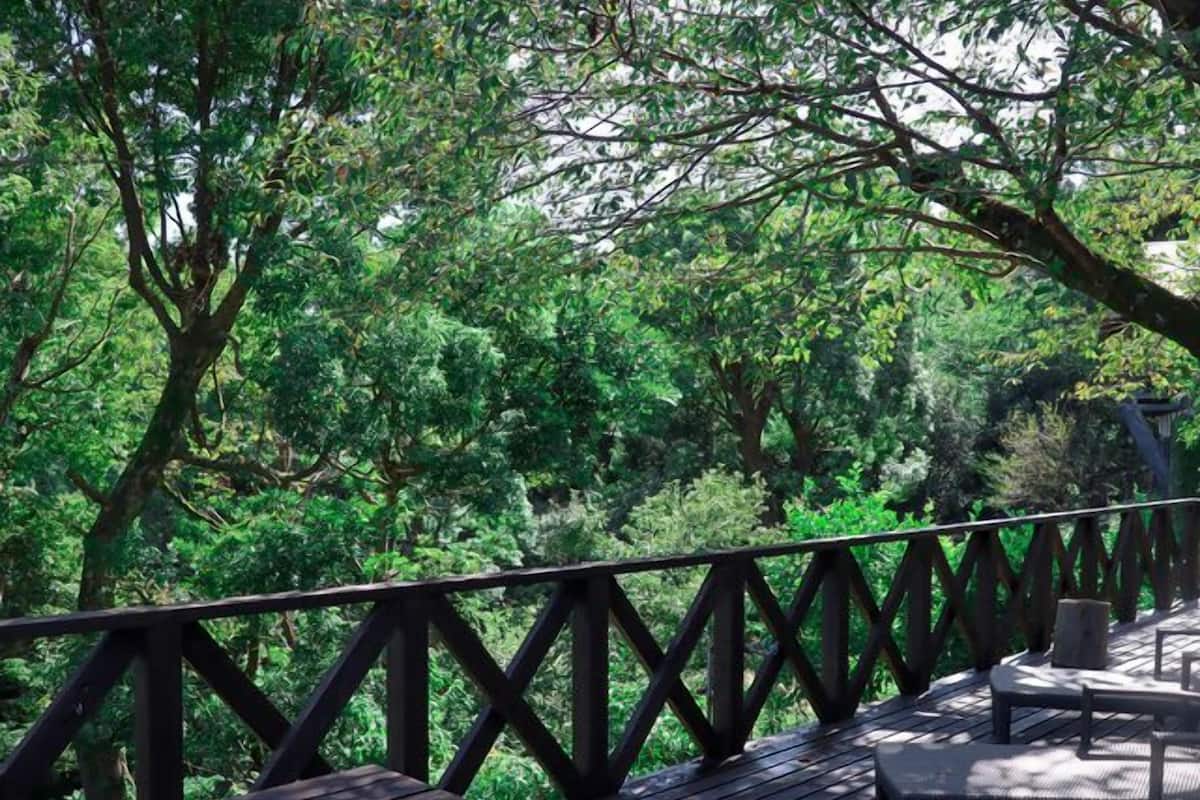 A wooden deck with a railing, surrounded by dense green foliage.