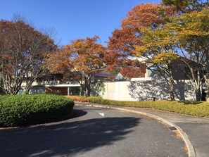 A residential area with houses, a curved driveway, and trees with autumn foliage. - I&I Land (Shijonawate)