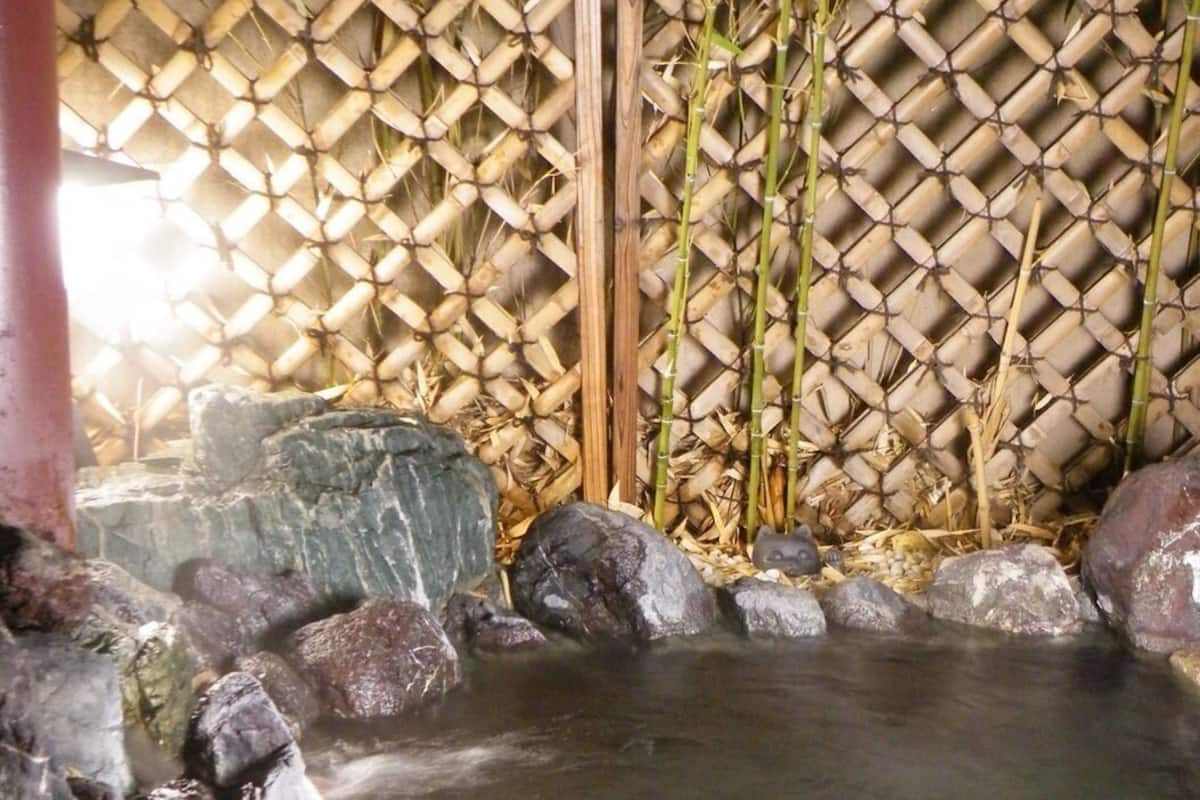 A hot spring with a bamboo fence and rocks.