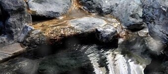 Dog & Cat Pension Aron