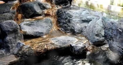 Dog & Cat Pension Aron